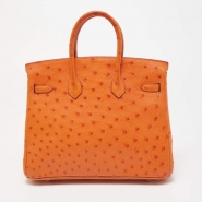 Сумка Hermes Birkin 25 из кожи страуса